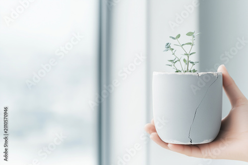 Hand holding a cracked ceramic planter with a delicate green plant near a bright window, symbolizing resilience, sustainability, healing, and fragile environmental balance.