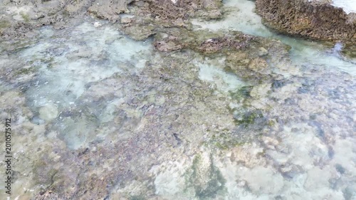 Clear Shallow Water over Rocky Seafloor with Gentle Ripples