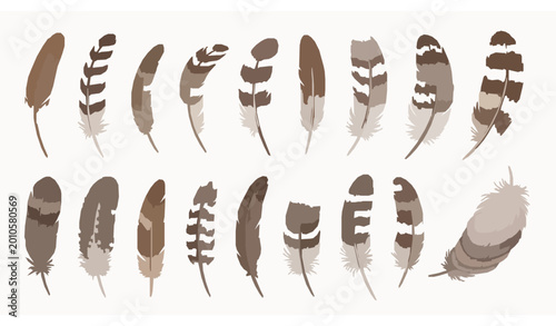 Bild auf Leinwand Set of realistic brown bird feathers, natural quill and plume textures for rustic themes