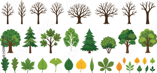 Complete Tree and Leaf Icon Set with Bare Winter Trees, Green Forest Trees, and Colorful Autumn Leaves Flat Design