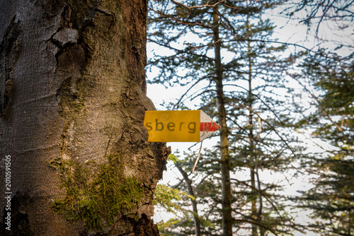 Old yellow hiking sign nailed to tree trunk