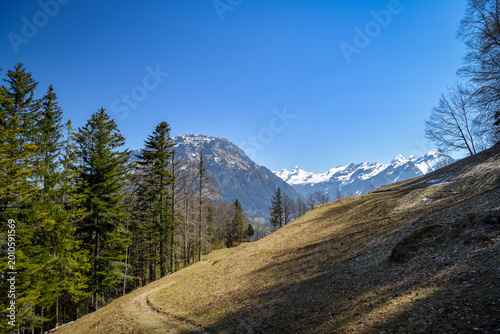 Hiking trail through meadow with snowy mountains