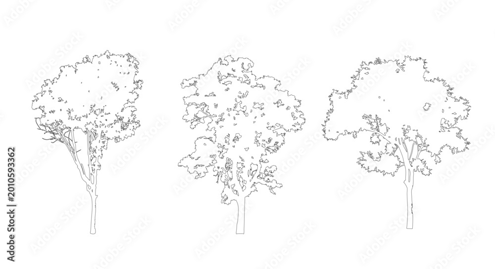 Obraz premium Tree CAD Blocks Vector Set Architectural Trees Elevation and Plan View for Landscape Architecture AutoCAD Drawing Elements