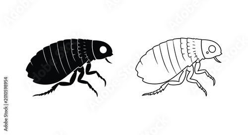 Photos Flea insect silhouettes black and white illustration silhouette high quality pro