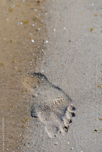 Barefoot footprint in wet beach sand with tide line and shells, top view