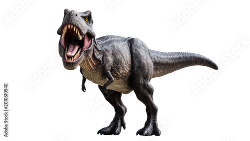 Tableau sur toile Gray Tyrannosaurus Rex Roaring with Open Mouth and Sharp Teeth