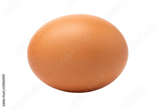 A freshly laid brown chicken egg with a smooth and slightly glossy surface.