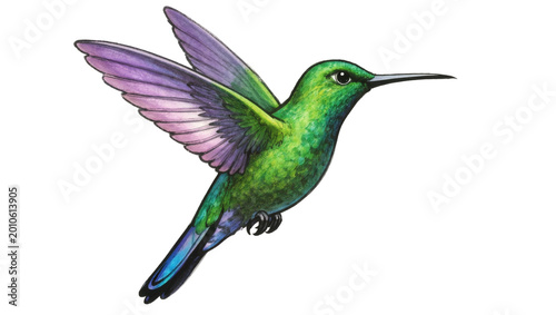 Foto Green iridescent Hummingbird with Purple Wingtips in Flight