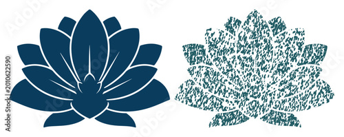 Valokuva Two elegant lotus flowers, one solid and one textured, symbolize purity and grow
