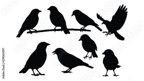 Schilderij op canvas Bird silhouettes collection black shapes of sparrows and finches on white backgr