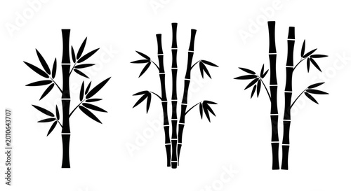Black Bamboo Stalks with Leaves Silhouette on White Background