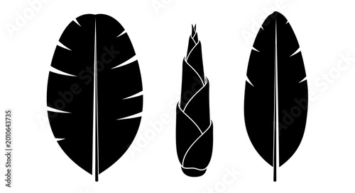 Black Silhouette Bamboo Leaf and Shoot Icon Set