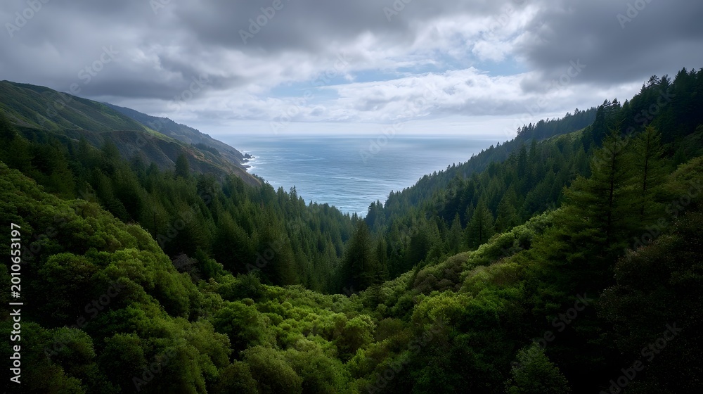 Fototapeta premium Dense lush forest slopes descend towards a vast misty ocean under a dramatic cloudy sky