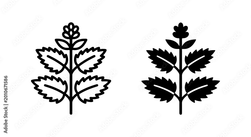 Fototapeta premium Minimalist mint leaf icons, herbal tea plant vector set, botanical peppermint foliage symbols