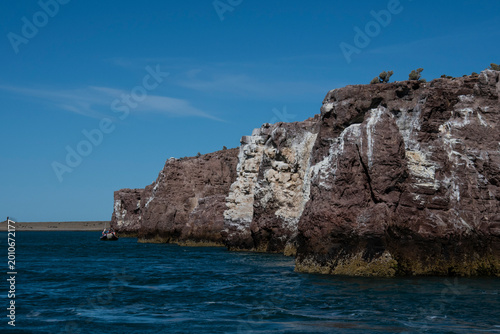 Obraz na płótnie Ria de Puesto Deseado Nature Reserve, Santa Cruz Province, Patagonia, Argentina