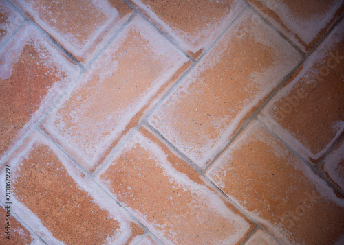 Vászonkép Terracotta tiles with efflorescence showing salt deposits on surface
