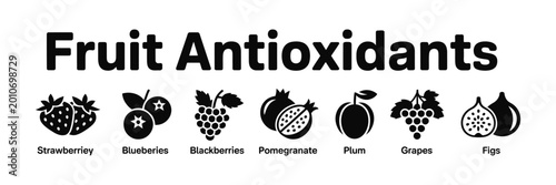Fruit antioxidants icons set, healthy food vector illustration with strawberry, blueberries, blackberries, pomegranate, plum, grapes and figs