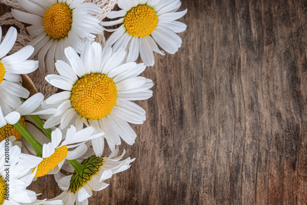 Obraz premium Macro shot of fresh daisies on a weathered wooden surface. High angle view with large empty space for text.