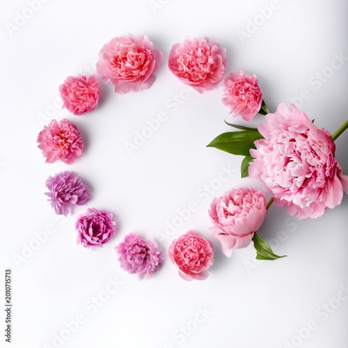 Beautiful Arrangement of Pink Peony Flowers in a Circular Design on a White B...