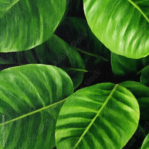Lush Green Leaves Grow Densely in a Natural Setting Under Bright Sunlight