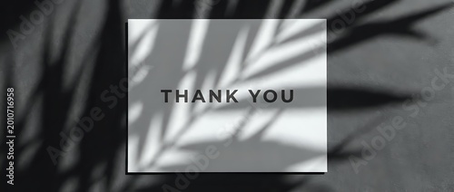 Thank you card with elegant palm leaf shadows on gray textured background, monochrome minimal style for greeting, appreciation, and gratitude concepts.