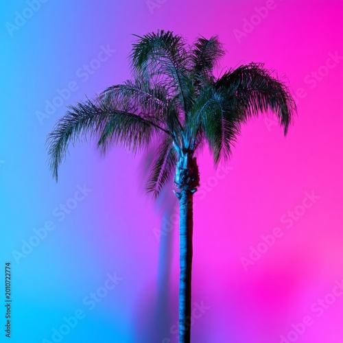 Colorful Palm Tree Against a Bright Background With Blue and Pink Lights in a...