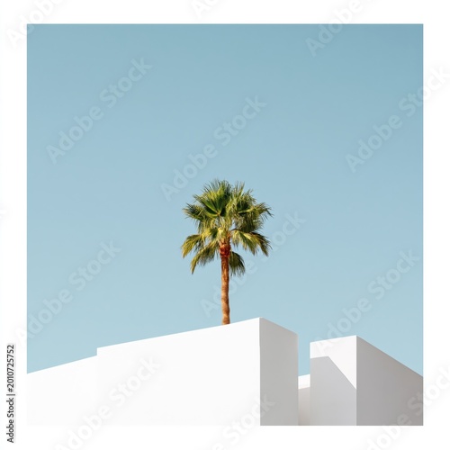 Palm Tree Stands Tall Against Clear Blue Sky With White Structure Below in Su...