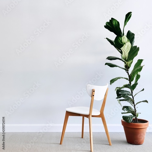 White Chair and Green Plant Beside a Blank Wall in a Bright Room With Wooden ...