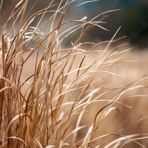Natural Fibers Woven Together Create a Complex Pattern of Textures and Lines ...