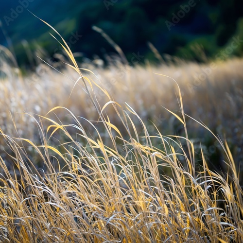 Natural Fibers Woven Together Create a Complex Pattern of Textures and Lines ...