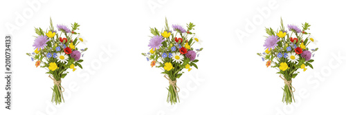 Photos Vibrant Wildflower Bouquet Spring Blossoms Transparent PNG Mixed Meadow Field Pl