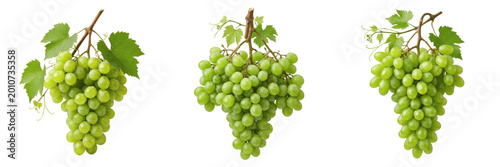 Tableau sur toile Set and collection of green grapes bunch isolated on white background