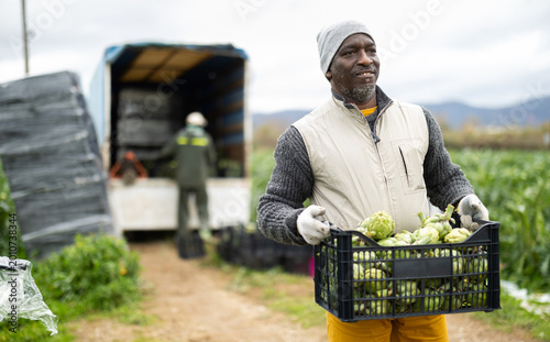 Cuadro en lienzo Portrait of positive farmer with box of ripe artichokes in his hands in a field