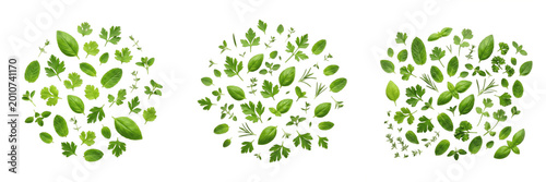 Organic Fresh Mint Leaves Bunch Green Peppermint Herb Culinary Garnish Natural Healthy Ingredient Transparent PNG