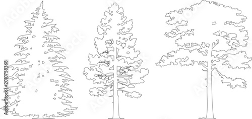 Schilderij op canvas Three stylized tree line drawings: coniferous, pine, broadleaf