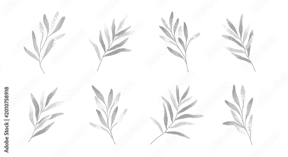 Fototapeta premium Refined foliage in subtle pointillism stipple effect.Transparent olive branches and leaves with gentle fade.Minimal botanical floral elements for prints,wedding invitations,branding,packaging,patterns