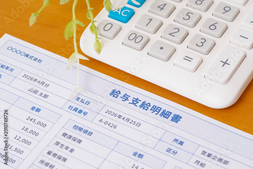 Konstfotografi 給料日をイメージする給与明細書