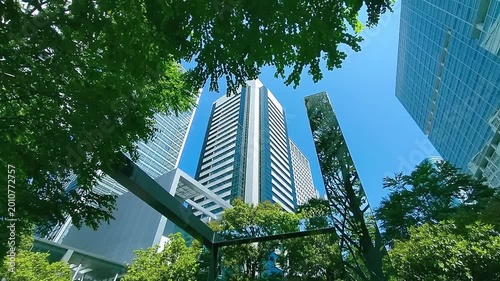 高層ビル　緑の木