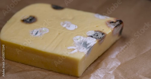 old orange cheese covered in mold, old spoiled dairy product writings orange cheese in black gray dangerous mold, food mold