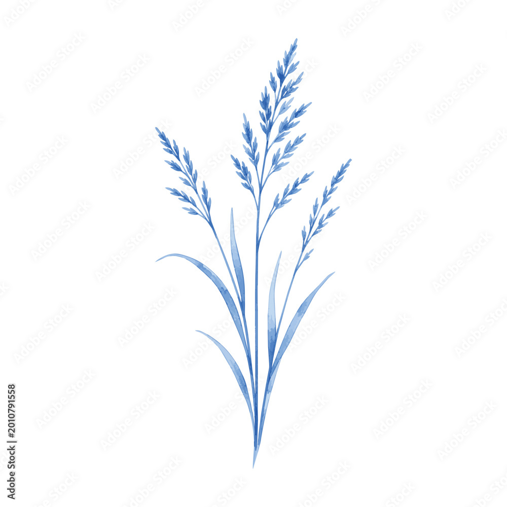 Obraz premium Blue stem grass watercolor grass logo symbol 