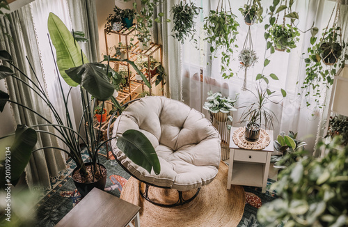 A peaceful papasan chair surrounded by plants.