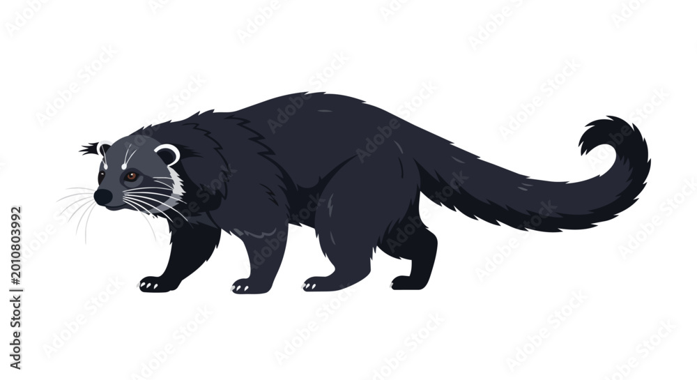 Fototapeta premium Binturong Bearcat Wild Animal Illustration Isolated on White Background