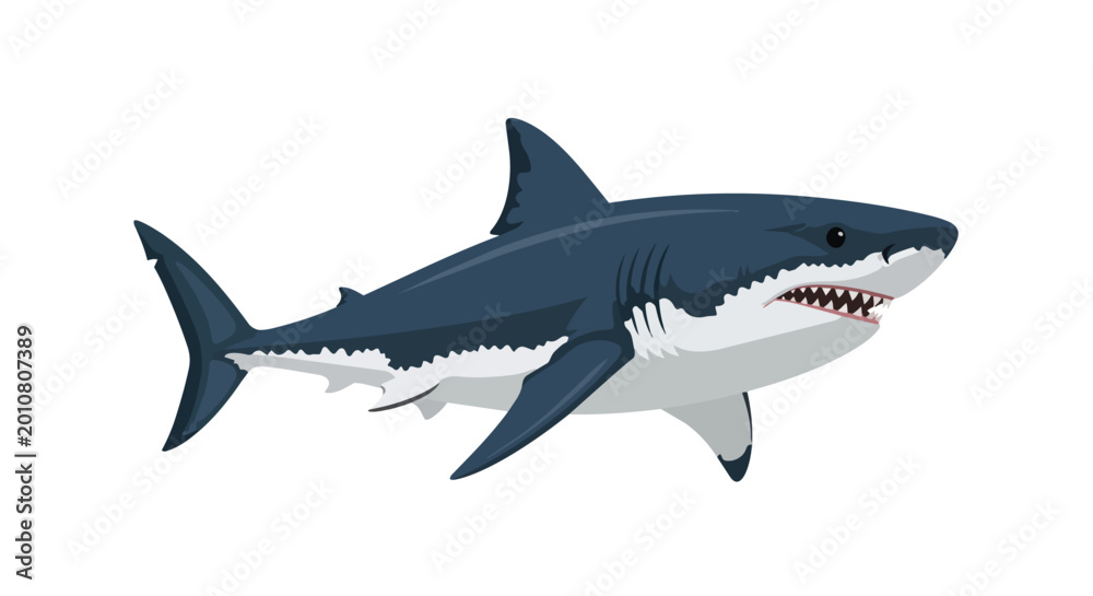 Naklejka premium Powerful Great White Shark Illustration Isolated on White Background with Sharp Teeth