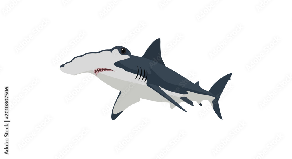 Fototapeta premium Hammerhead Shark Swimming Illustration Isolated on White Background