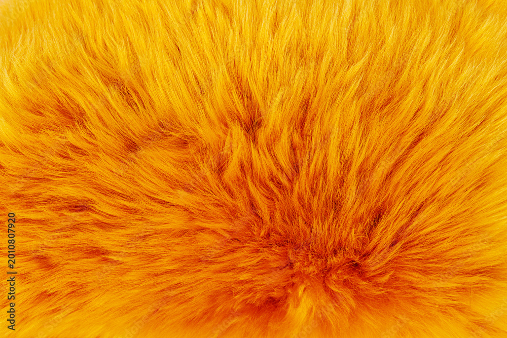 Fototapeta premium Bright orange fur texture on a soft surface in natural light, showcasing the rich colors of the material