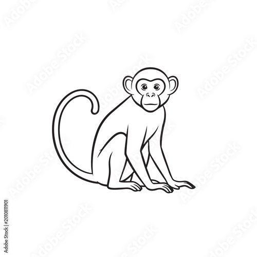 Canvas Print Minimalist monkey outline illustration for coloring with wildlife, illustration