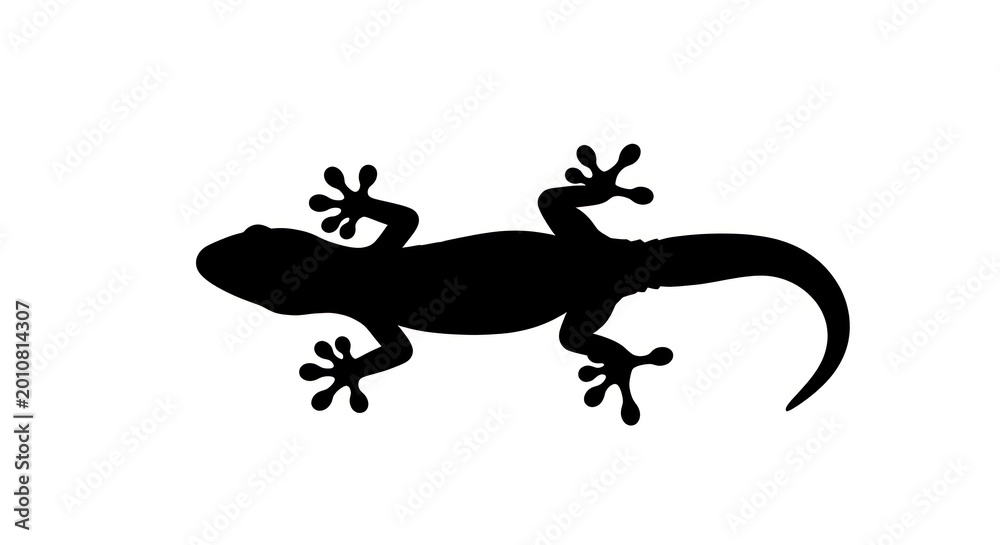 Fototapeta premium Black silhouette of a lizard.