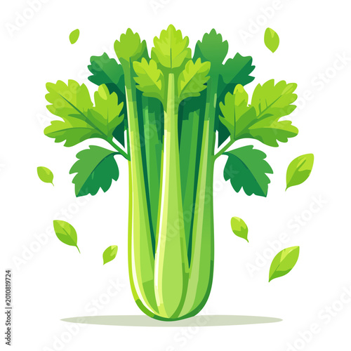 Canvas Print Delicious crunchy garden fresh celery stalk bunch for aromatic cooking and whole
