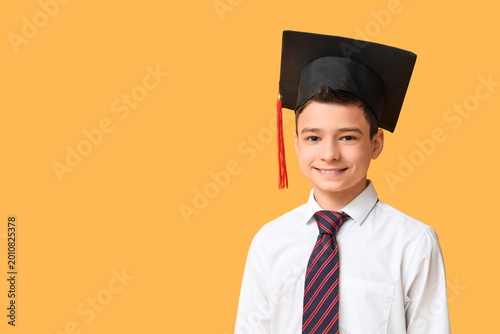 Cute schoolboy in graduatio...