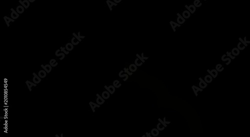 Golden loading spinner animation loop for modern digital animation